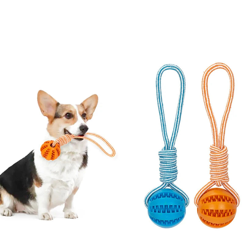 Pet Rubber Treat Ball Rope Toy