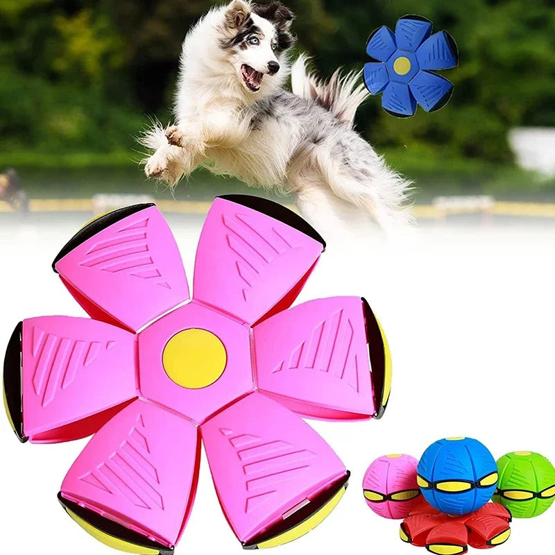 Dog Flying UFO Saucer Ball Toy